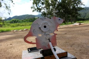 vi-valida-field-target-feveti-3