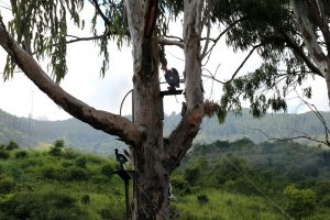 vi-valida-field-target-feveti-4